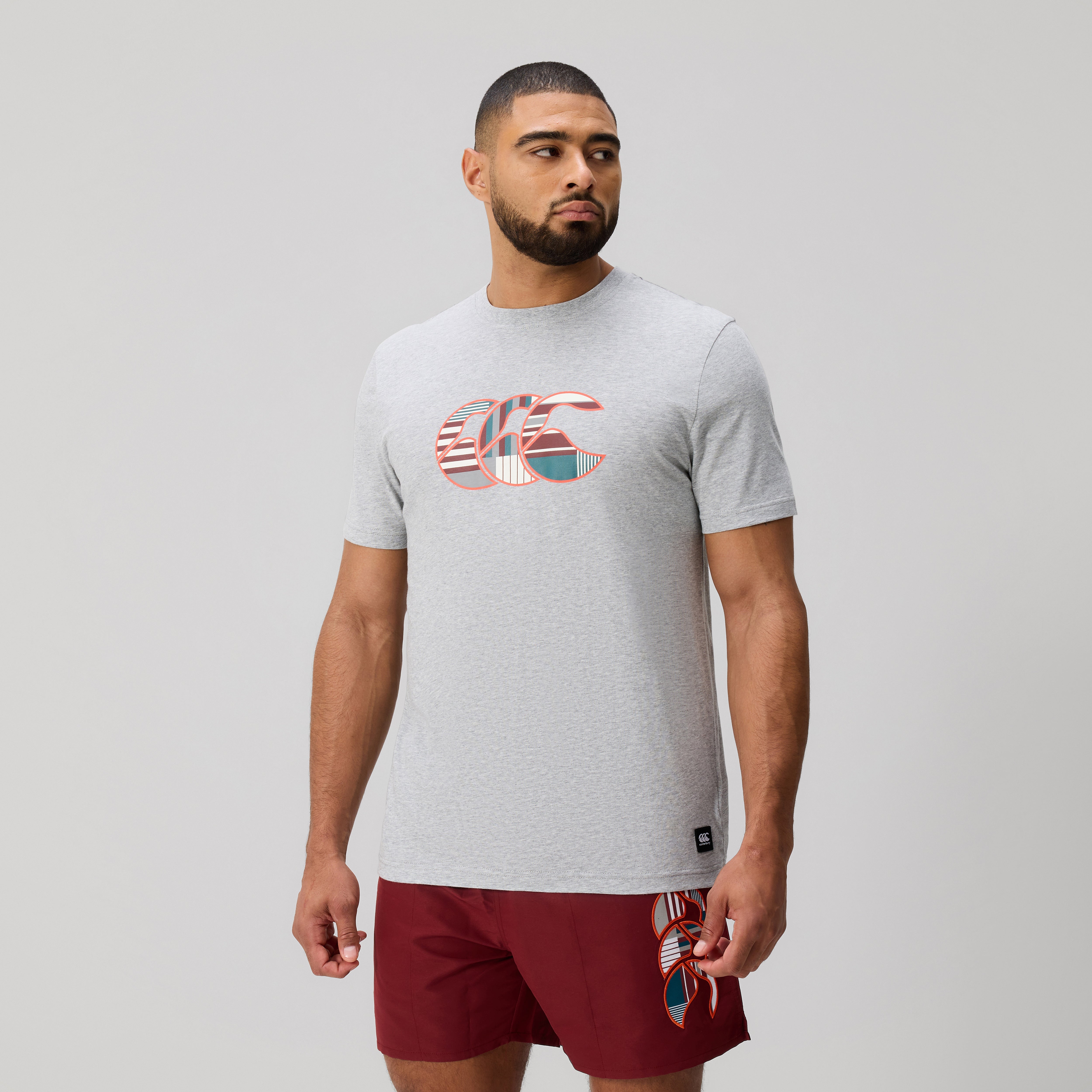 canterbury-uglies-logo-camiseta-gris-para-hombre image 3