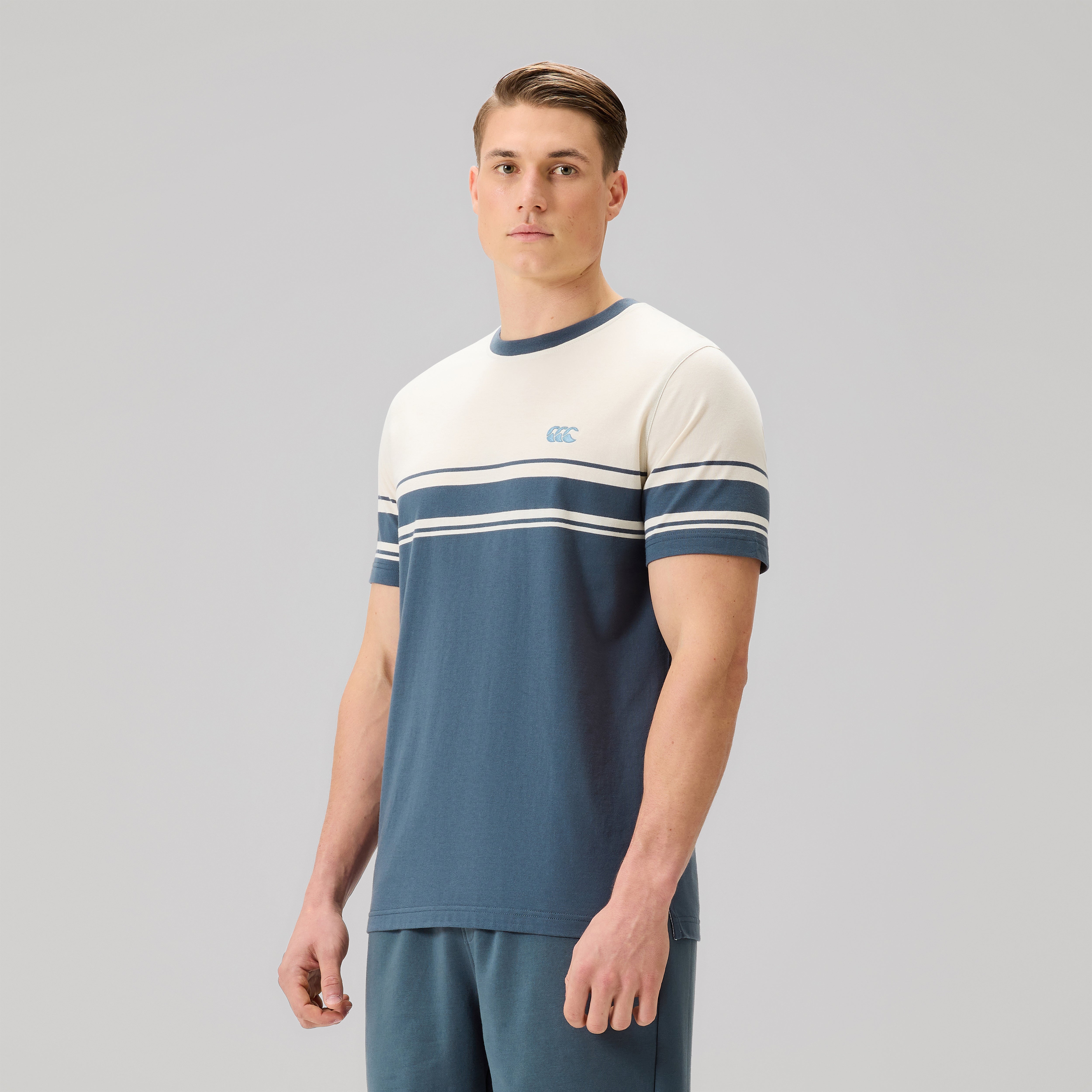 canterbury-everyday-stripe-tee-gris-hombre image 4