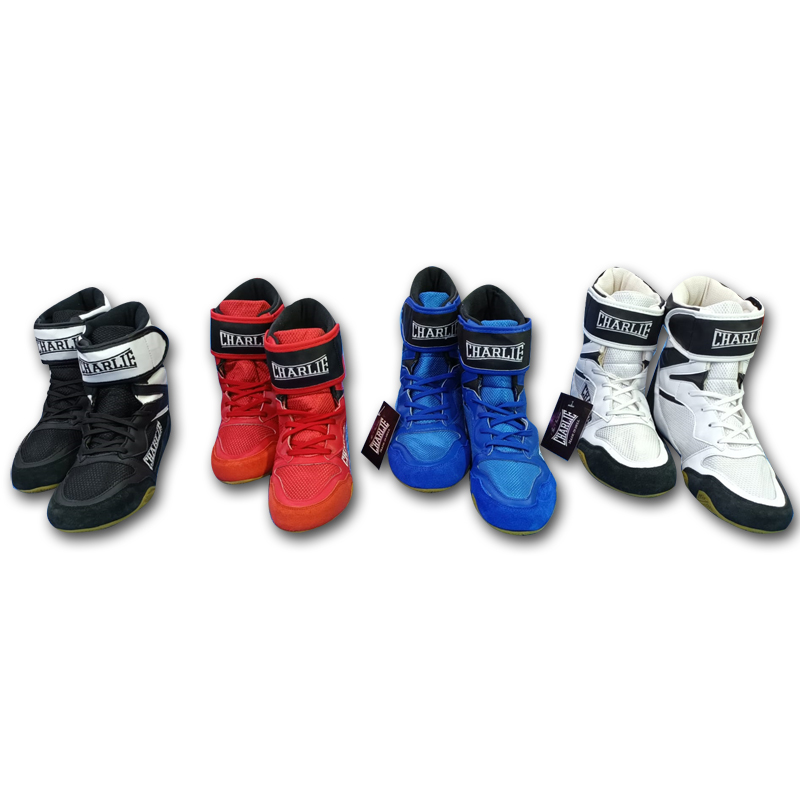 charlie-boxing-bot-n-ring-pro image 2
