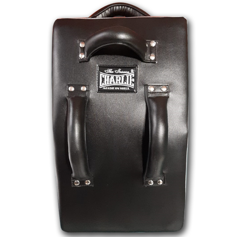 charlie-boxing-escudo-curvo-gel-55x35x12-cm image 3