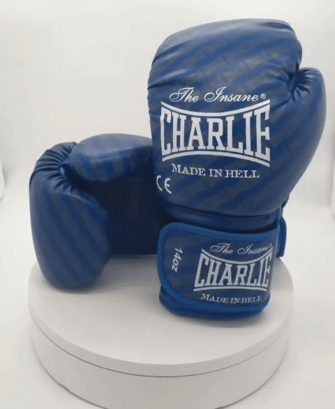 charlie-boxing-pack-blast-azul-guantes-espinilleras image 2