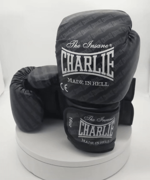 charlie-boxing-pack-blast-negro-guantes-y-espinilleras image 2