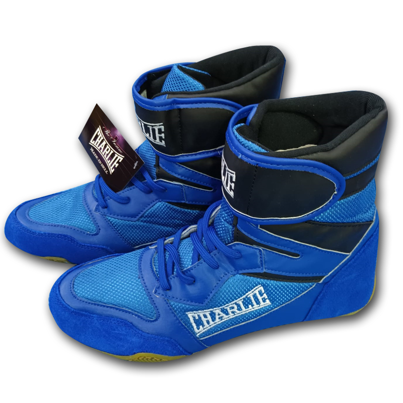 charlie-boxing-bot-n-ring-pro image 7