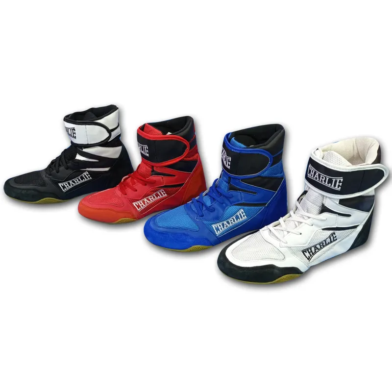 charlie-boxing-bot-n-ring-pro image 1