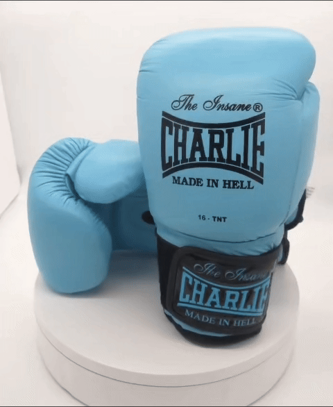 charlie-boxing-pack-m-kick-blue-sky-guantes-y-espinilleras image 3