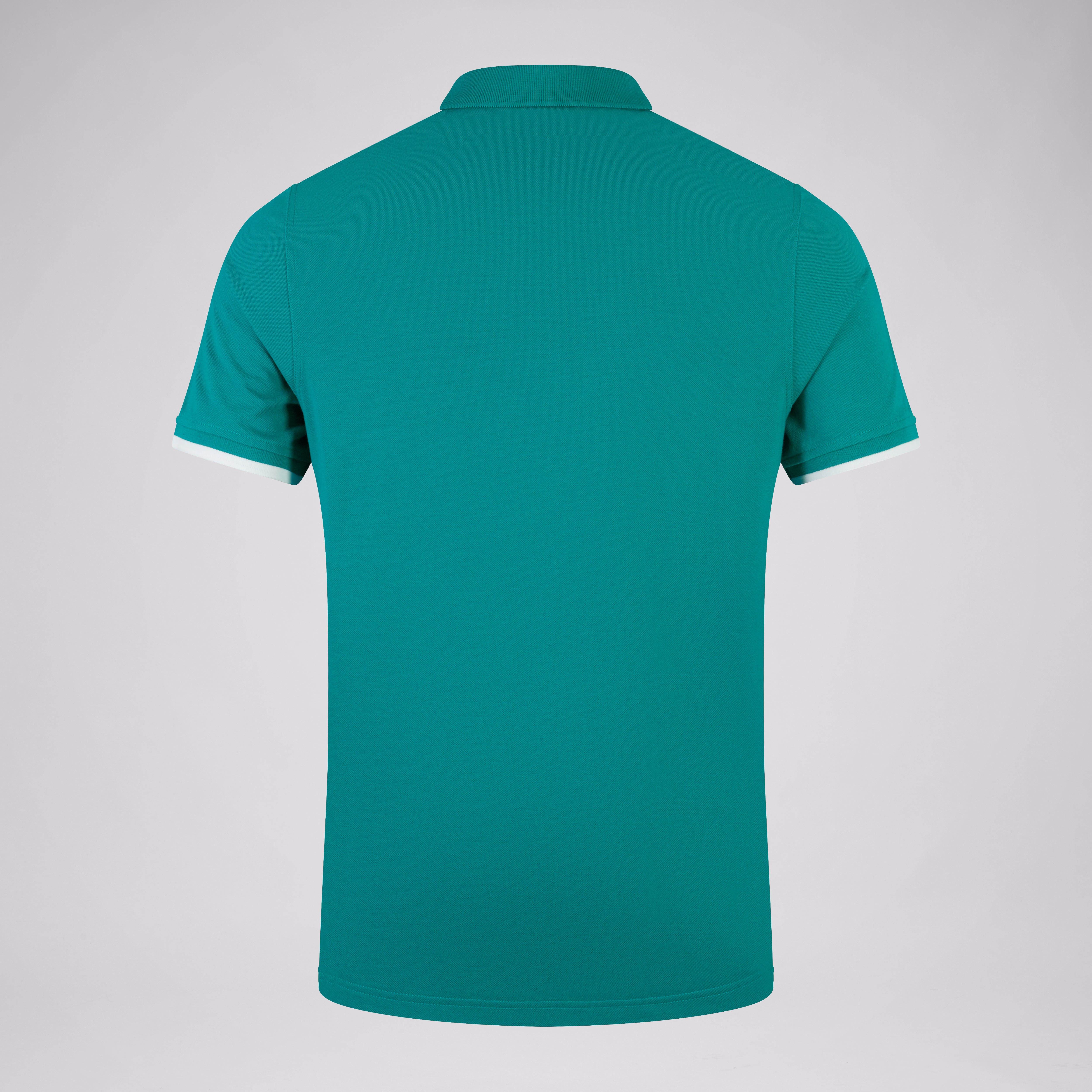 canterbury-ireland-team-polo-shirt-green-white-para-hombre image 2