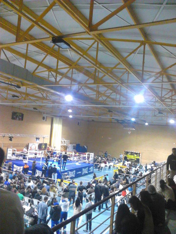 charlie-boxing-ring-alquiler-de-ring-homologado-por-la-federaci-n-espa-ola-de-bo image 5
