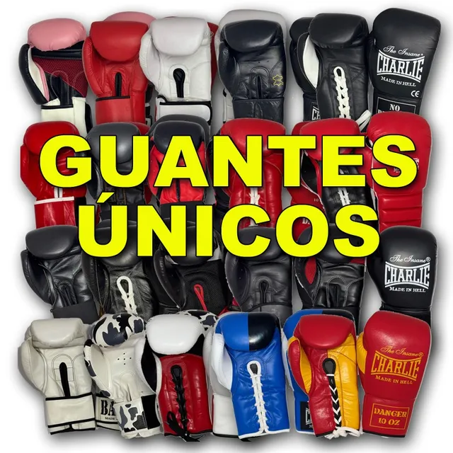 charlie-boxing-guantes-nicos-bat-x-producto-en-liquidaci-n image 1