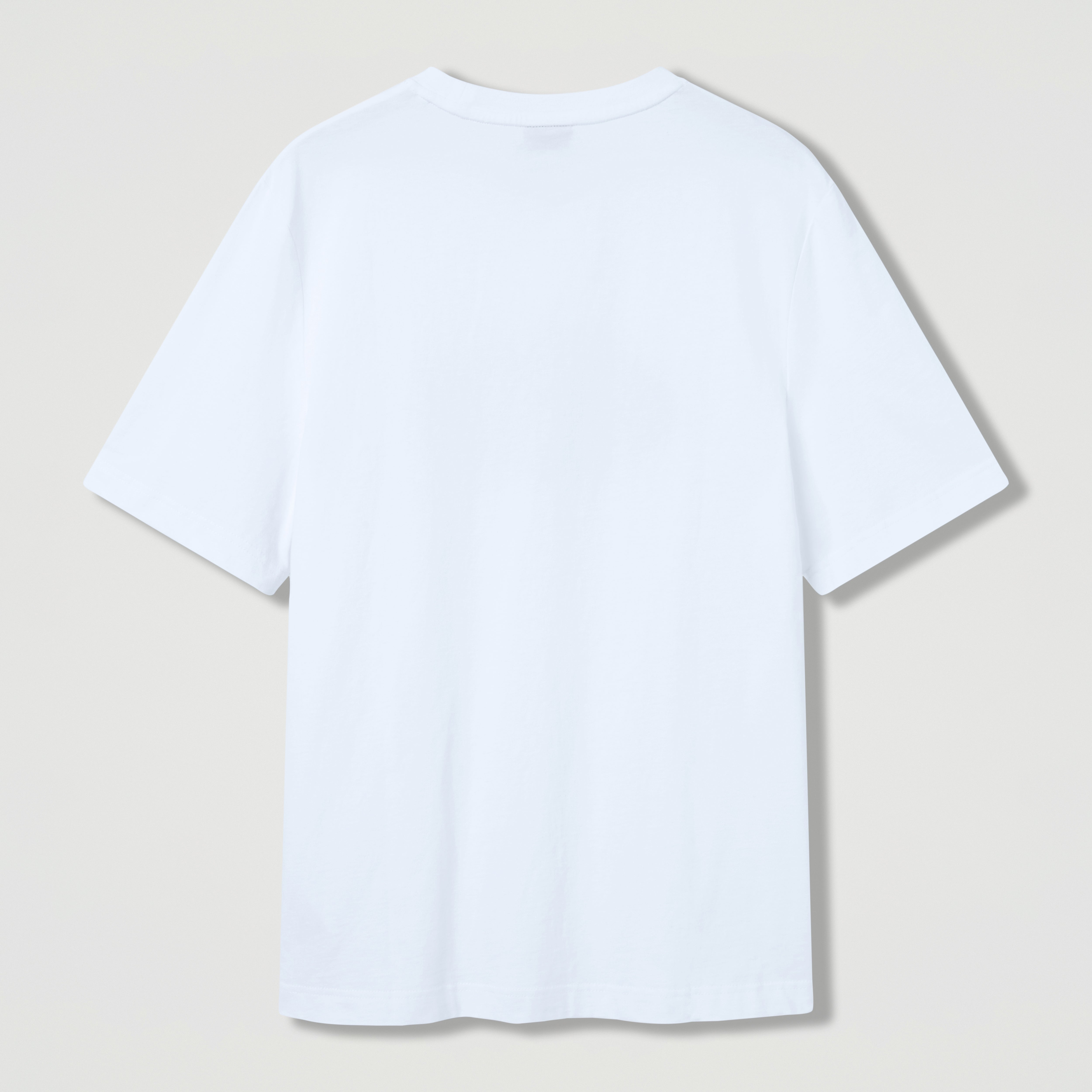 camiseta-canterbury-everyday-graphic-blanca-para-hombre image 6