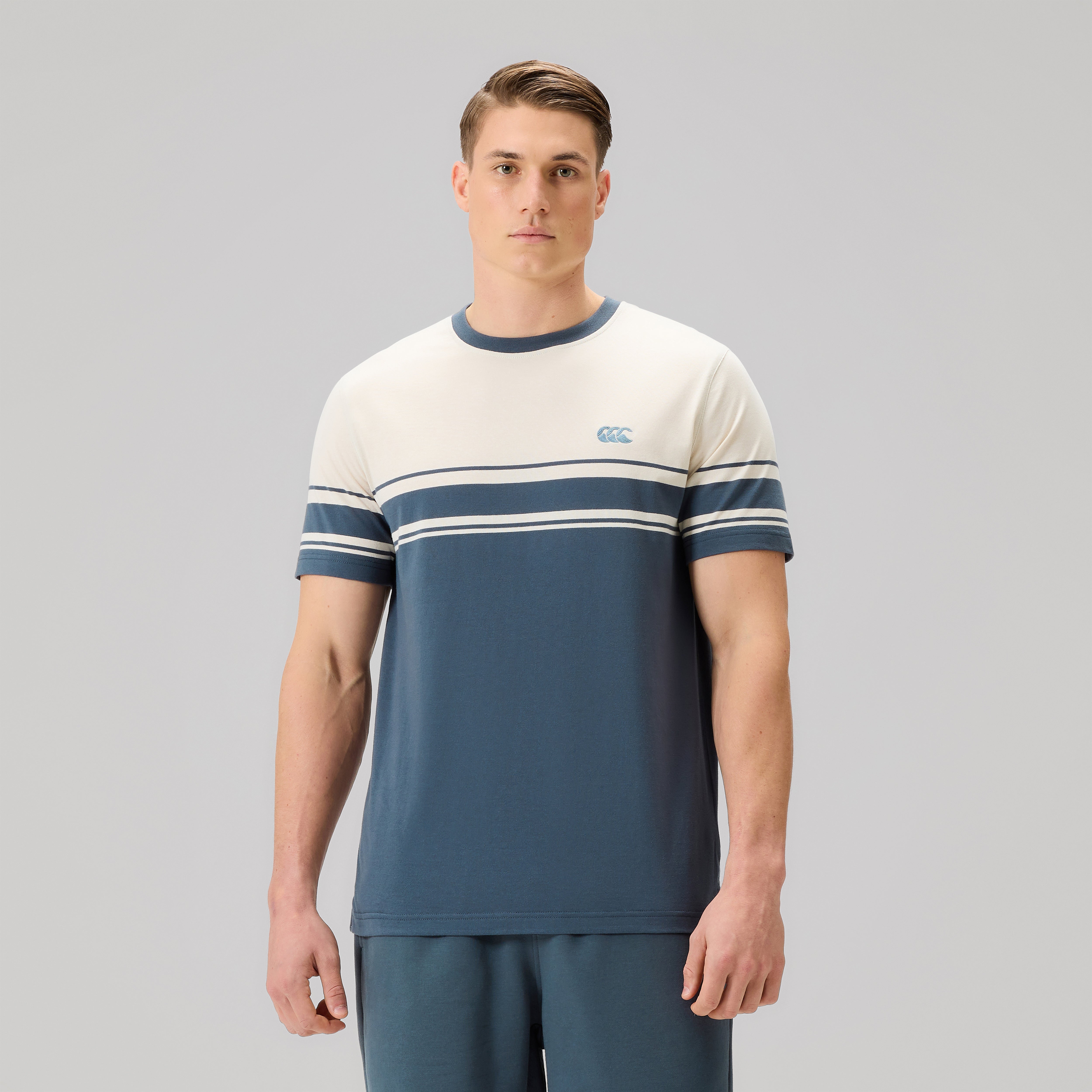 canterbury-everyday-stripe-tee-gris-hombre image 3