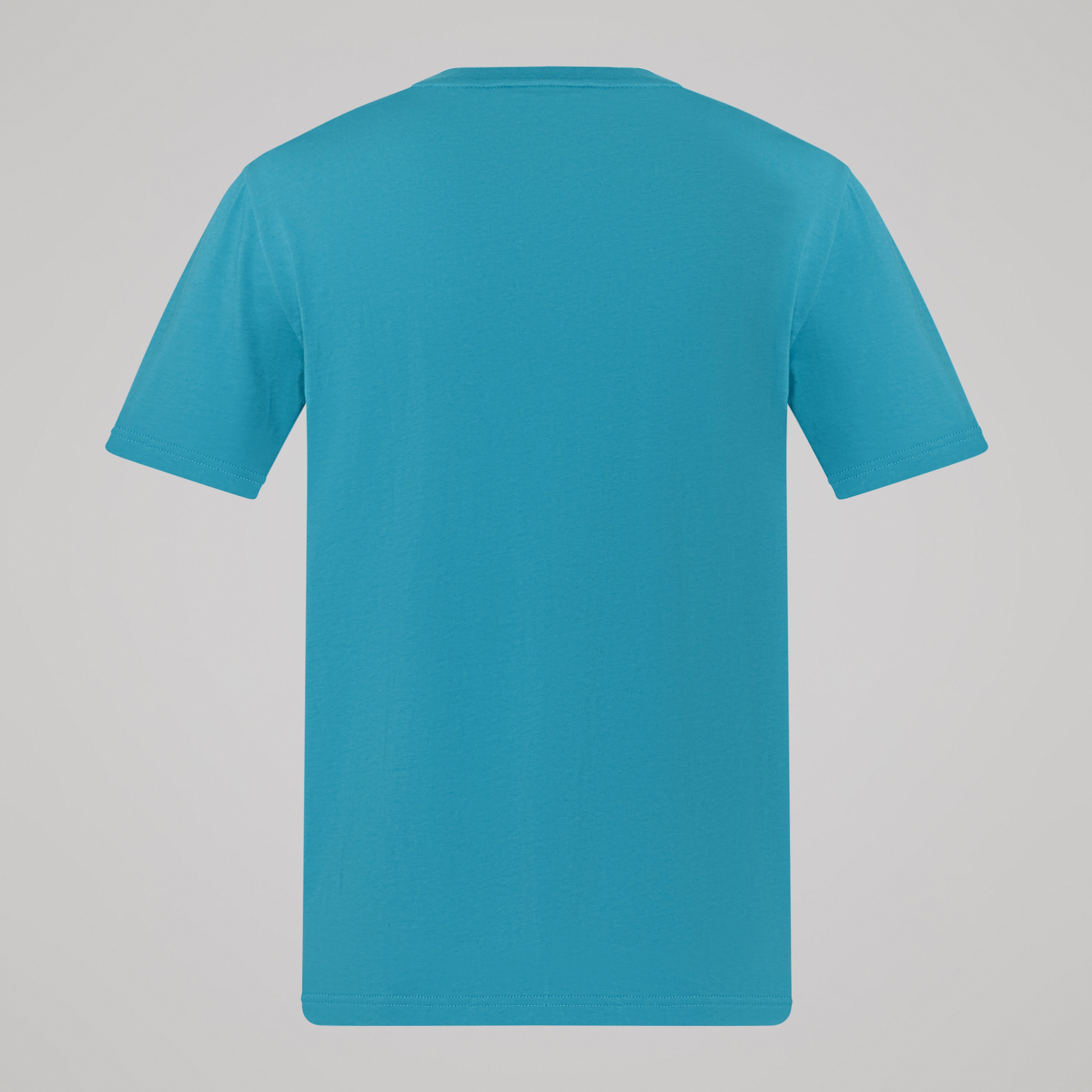 camiseta-canterbury-uglies-logo-tee-azul-para-hombre image 6