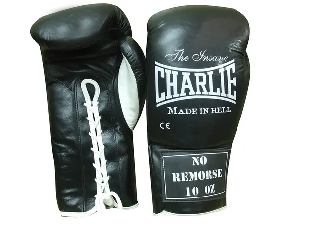 charlie-boxing-guantes-no-remorse-profesionales-de-cuerdas-homologados-ebu-y-wbc image 1