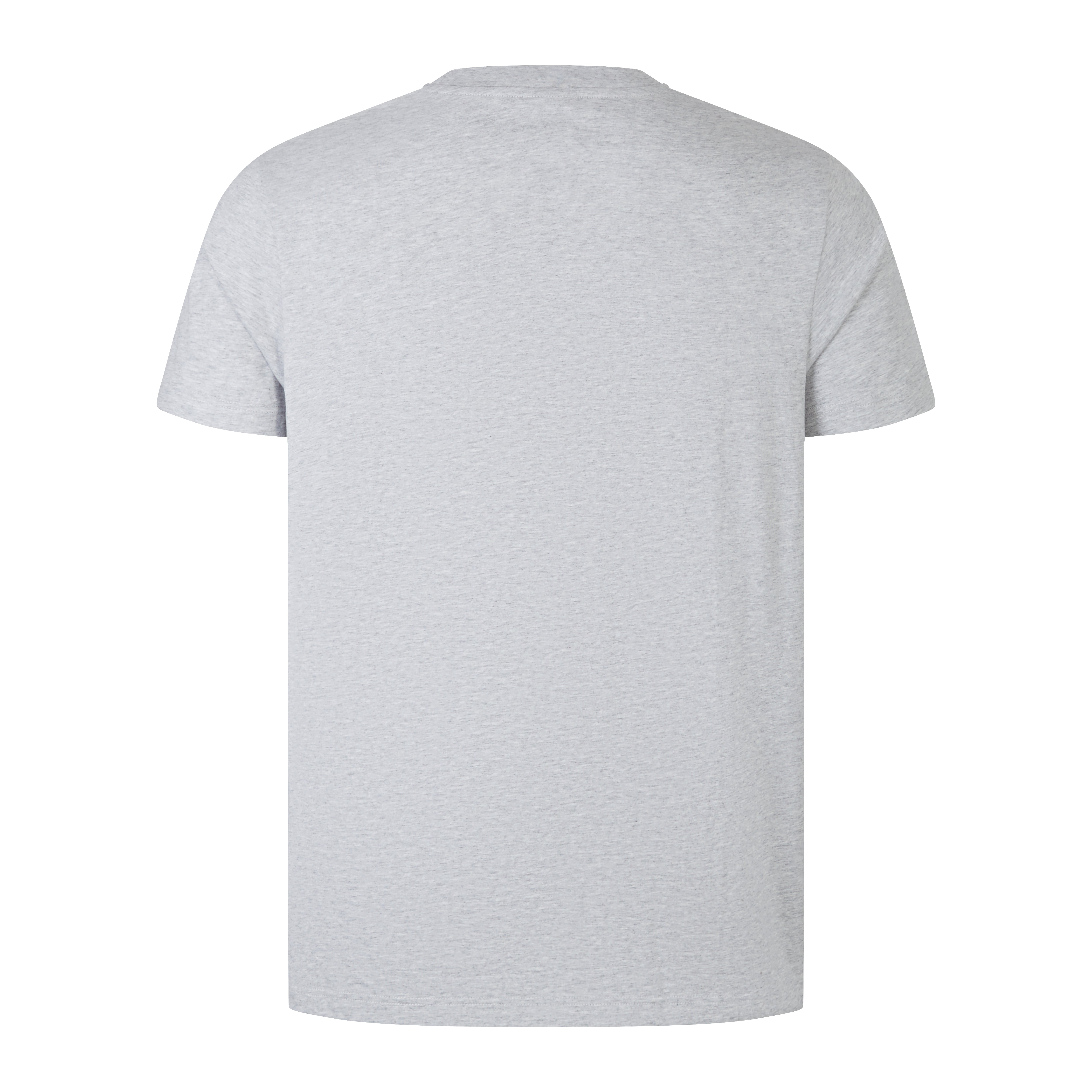camiseta-canterbury-ccc-logo-tee-hombre-gris image 2