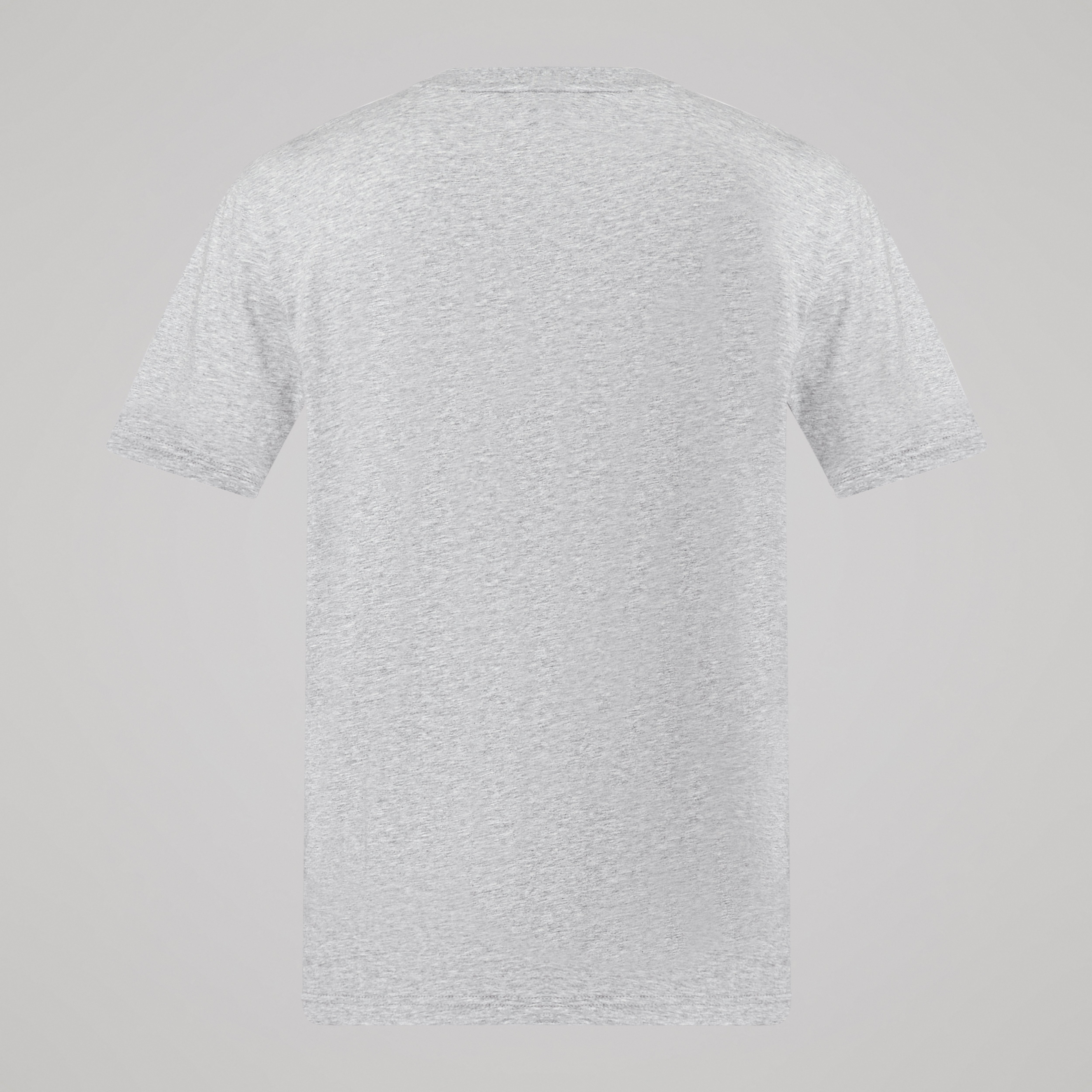 canterbury-uglies-logo-camiseta-gris-para-hombre image 6